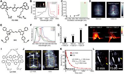 Organic Fluorophores for 1064 nm Excited NIR-II Fluorescence Imaging